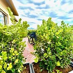 Marea Bed and Breakfast